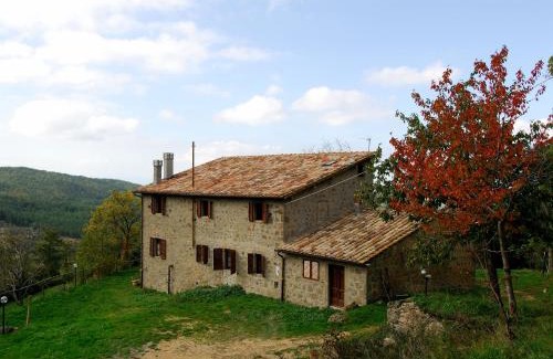 Vivo dʼOrcia Apartment | Agriturismo La Piaggia Vivo Dorcia - once upon a time apartment - 3 guests