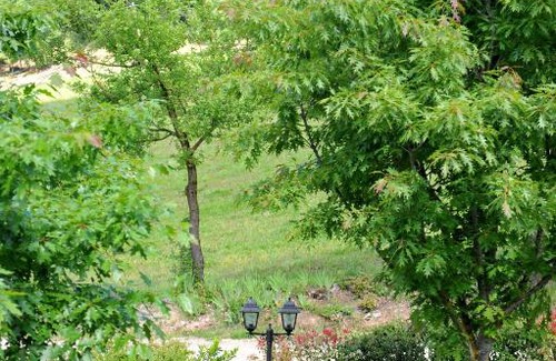 Poppi House | Agriturismo La Pietraia