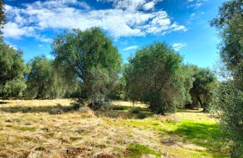 Grosseto House | Agriturismo Lillastro