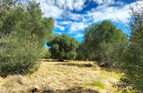 Grosseto House | Agriturismo Lillastro