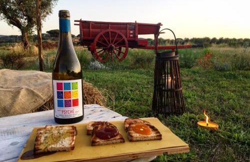 San Giusto House | Agriturismo Quattro Pini