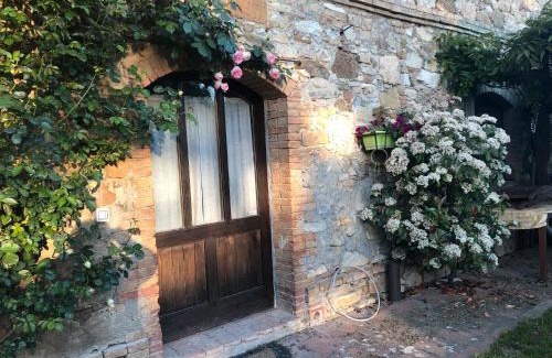 Radicondoli Apartment | Agriturismo San Domenico-Il Roseto