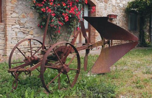 Radicondoli Apartment | Agriturismo San Domenico-Il Roseto