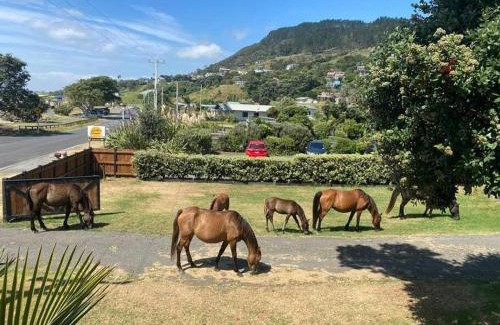 Ahipara House | Ahipara Beach Front, modern stylish bach