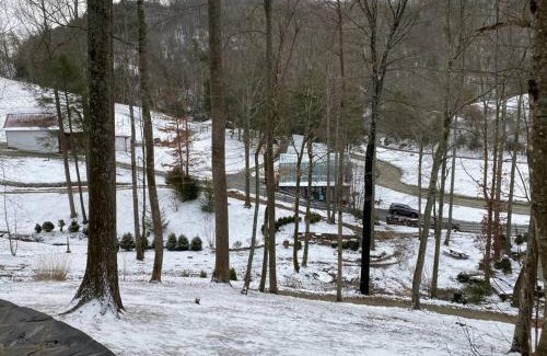Sugar Grove House | Airstream at a Petting Zoo w/Hot Tub