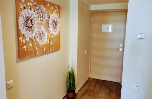 Parnu Apartment | Aisa 39