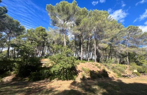 Est Apartment | Aix-en-Provence, Maison provençale au calme de la campagne avec Jacuzzi