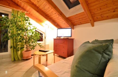 Donaustadt Apartment | AJO Apartments - Alte Donau Lake View Penthouse - Self-Check-in