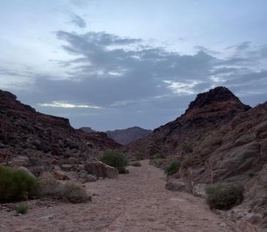 Wadi Rum Other | al-qatar mountain camp