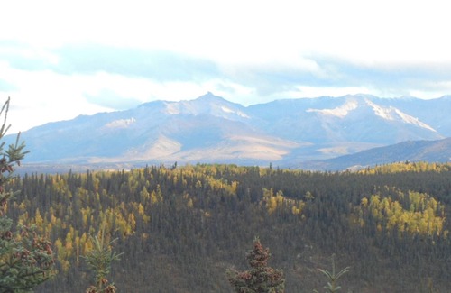 Healy Cabin | Alaska secluded Cabin , just 15 minutes from Denali National Park Entrance.