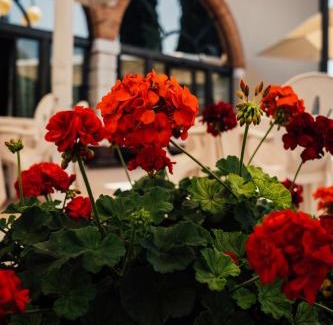 Sandra Hotel | Albergo La Meridiana