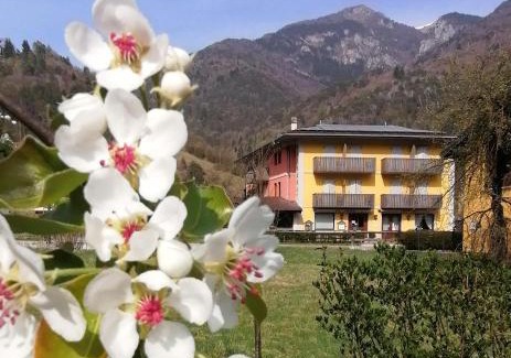 Ledro Hotel | Albergo Silvana