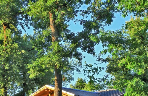 Albi RV Rental | Albirondack Park Camping Lodge and Spa