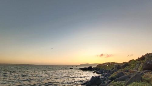 Bahia Inglesa Bed & Breakfast | Aldea Bahiguana