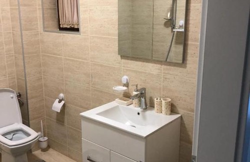 Piatra Neamt Apartment | ALERIA DE PIATRA