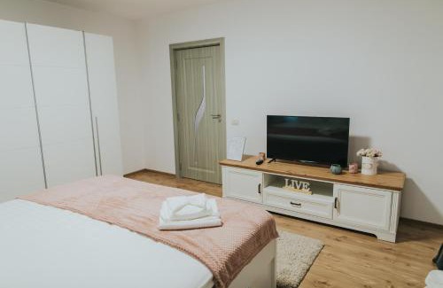 Piatra Neamt Apartment | Alessandra-Aparthotel