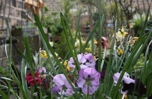Harrogate Bed & Breakfast | Alexandra Court