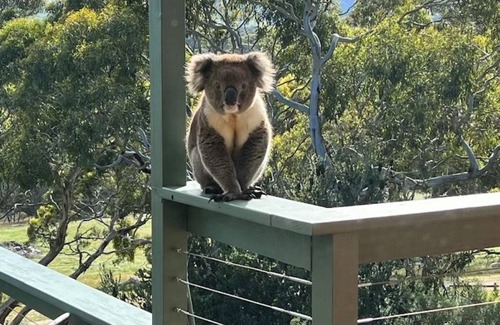 Yankalilla Villa | Allusion Farmstay & Vineyard - Unit 2 Shiraz