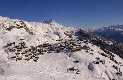 Riederalp House | Almenrausch