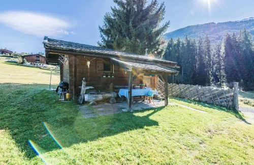 Hollersbach im Pinzgau Ski Chalet | Almliesl HOLL-361