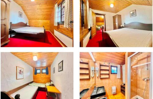 Sonnleitn Apartment | Almrausch und Enzian
