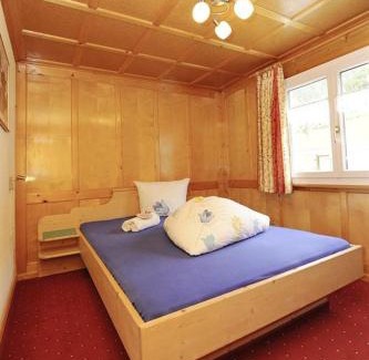 Sankt Gallenkirch Apartment | Alpenhaus Netzer