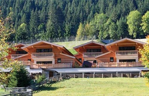 Flachau House | Alpin Chalet Flachauwinkl