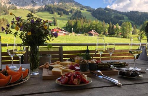 Oberjoch Apartment | Alpin Lodges - Moderne Appartements mit Zugang zu 3000 qm SPA Panoramahotel Oberjoch