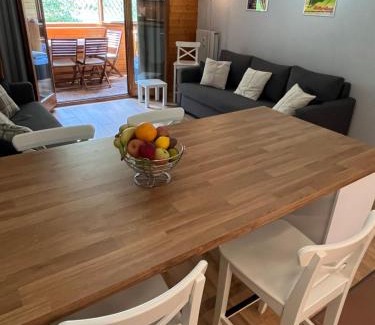 Vionnaz Apartment | Alpine apartment in Swiss village of Torgon