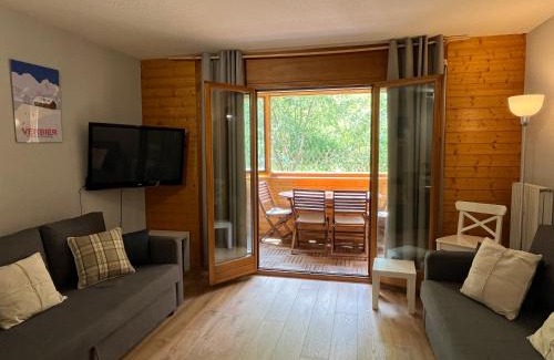 Vionnaz Apartment | Alpine apartment in Swiss village of Torgon