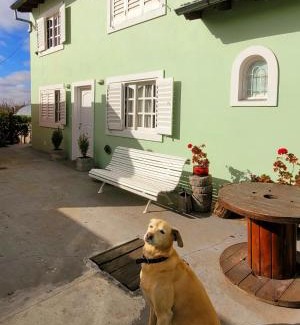 Tandil House | Alquiler en la sierra