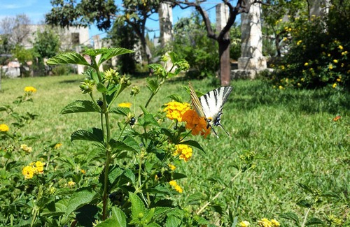 Specchia Bed & Breakfast | AlSalento B&B - Villa in Salento - Specchia (LE)