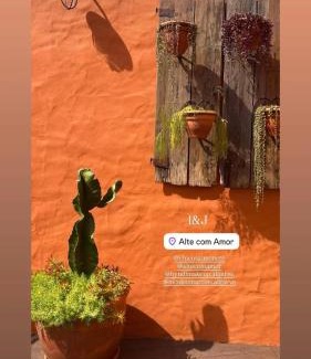 Alte House | Alte Com Amor