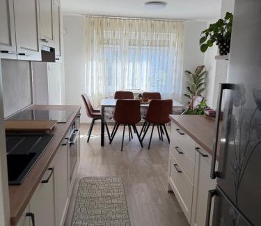 Domzale Apartment | Altitude50 apartment Domžale