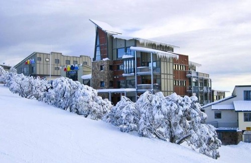 Mount Buller Apartment | ALTO 603 - Beautiful three bedroom apartment along side Bourke street