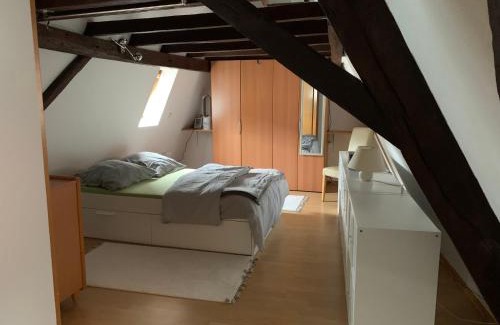 Bad Kreuznach Apartment | Altstadtblick