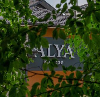 Kartepe Hotel | Alya Kartepe Villa Hotel