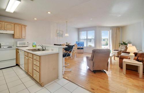 Treasure Island House | Amadeus 2