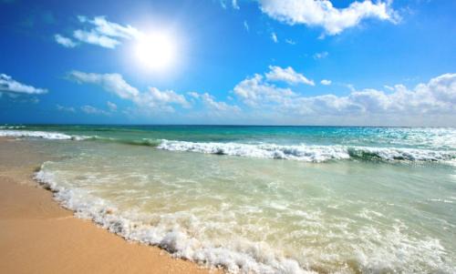 Sunny Beach Apartment | Amadeus XV 39 Studio Sunny Beach Centrum