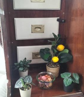 Port Rive Gauche Boat Rental | AMADONNe