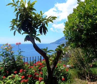 Maiori Apartment | Amalfi View Cottage