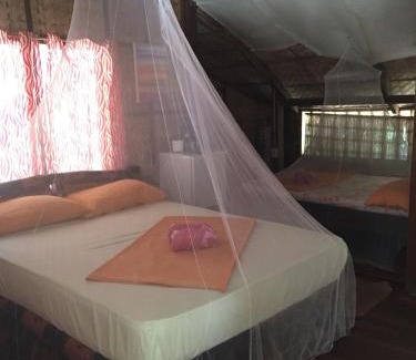Abra de Ilog Hotel | Amami Beachfront Bungalows & Villa