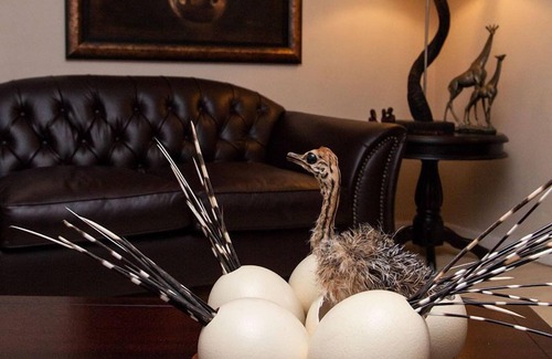 Walmer House | Amani Guest Lodge