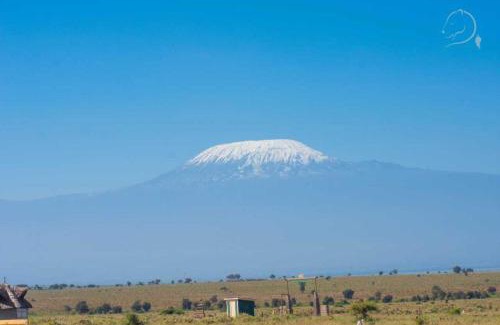Amboseli House | Amanya Camp 1 Double -Bed Tiger in Amboseli