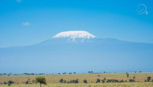 Amboseli House | Amanya Double Pitch Tent with Mt Kilimanjaro View