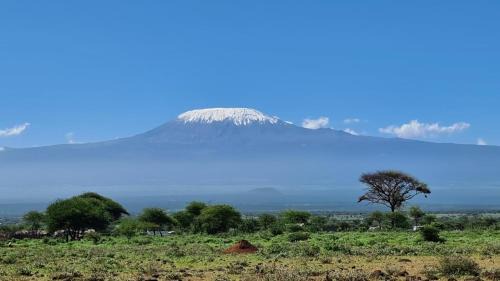 Amboseli House | Amanya Star Bed Amboseli