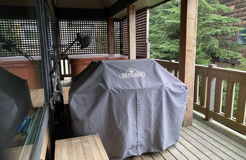 Hemlock Valley Cabin | Amazing 6 bedroom, 4 bath, sasquatch mountain cabin with hot tub & steam room