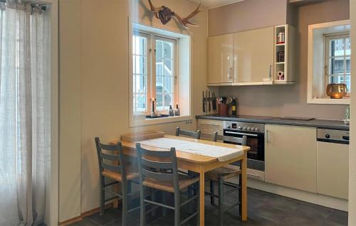 Mælem Apartment | Amazing Apartment In Trysil With Sauna
