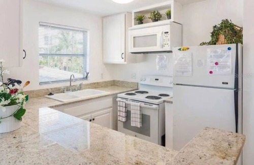 Don Cesar Condo | AMAZING LOCATION ! direct across ST, from beach