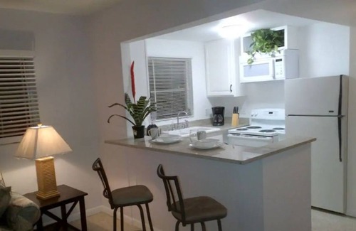 Don Cesar Condo | AMAZING LOCATION ! direct across ST, from beach